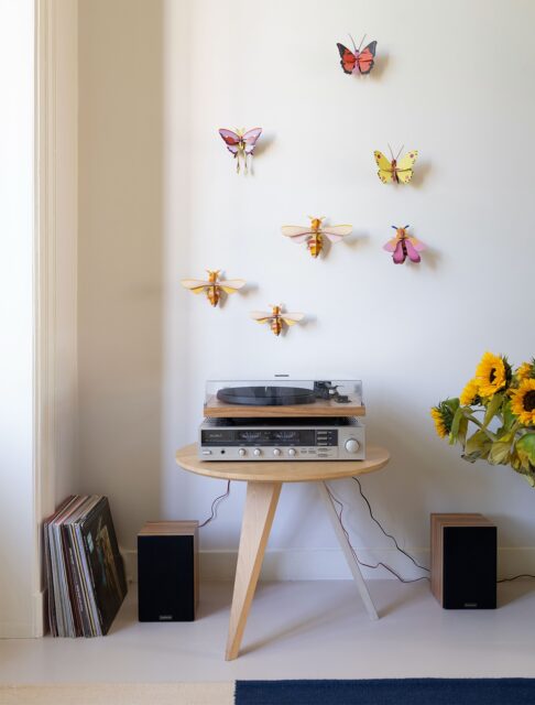 We stay in the Summer mood with some butterflies, bees and relaxed sounds!