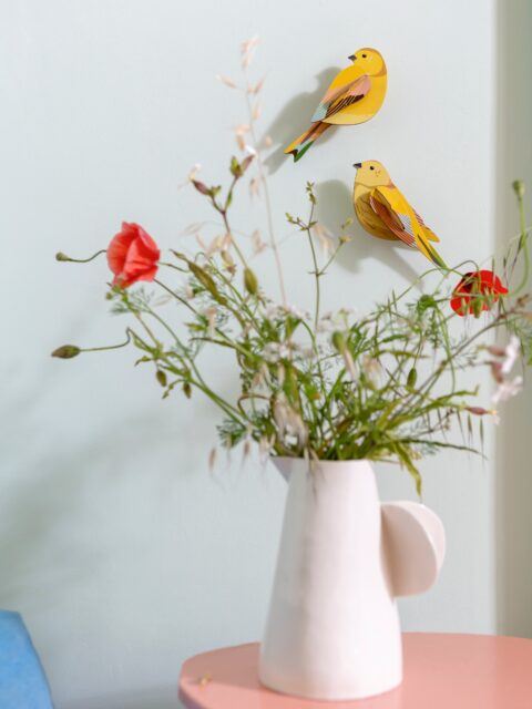 We love spotting colourful  birds! These citrinella birds add a cheerful touch of yellow indoors.