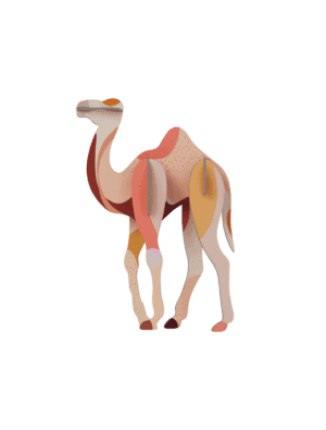 Camel
