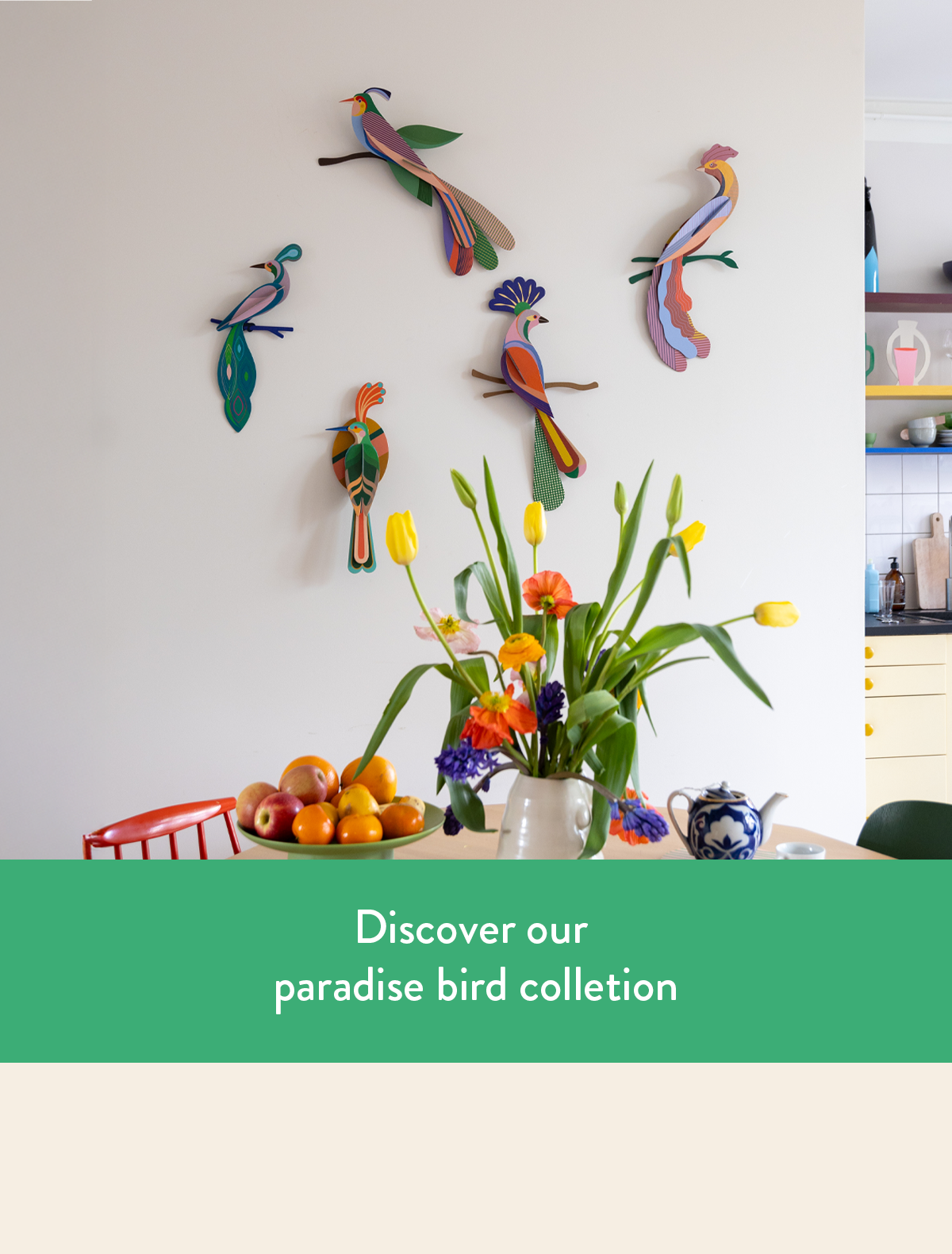 Discover Paradise Bird Collection