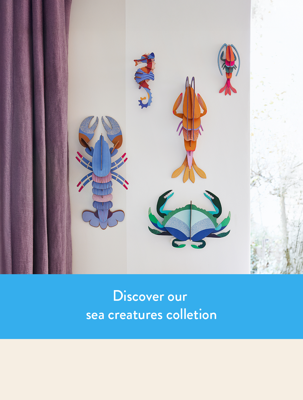 Discover Sea Creatures Collection