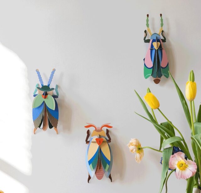 Though we love the snow, we are already longing for Spring!