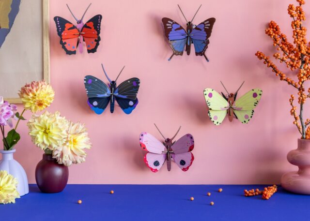 Launching our first new additions! Gentle newcomers that blend seamlessly into any wall. A first Spring vibe is fluttering your way…. 🌸